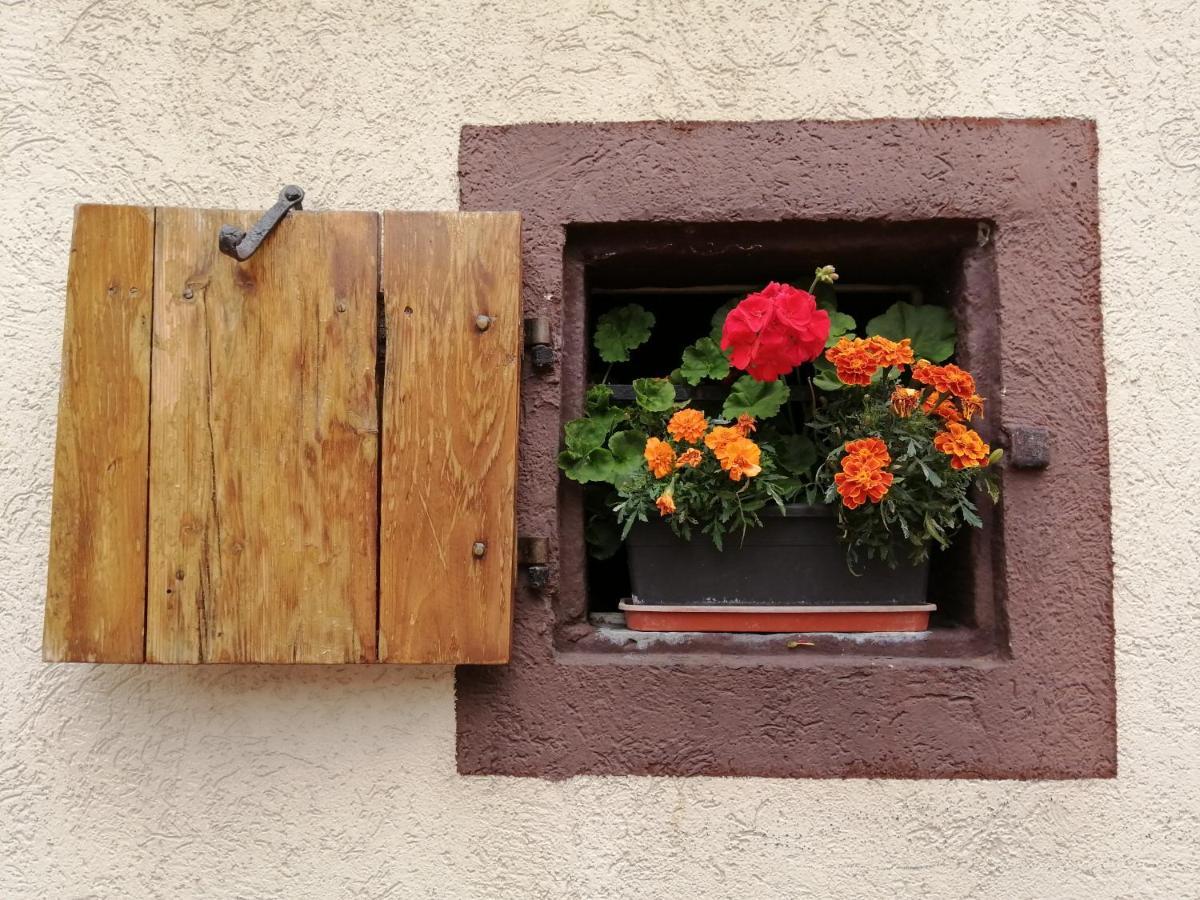 Gite Le Patio Kaysersberg-Vignoble Exterior photo