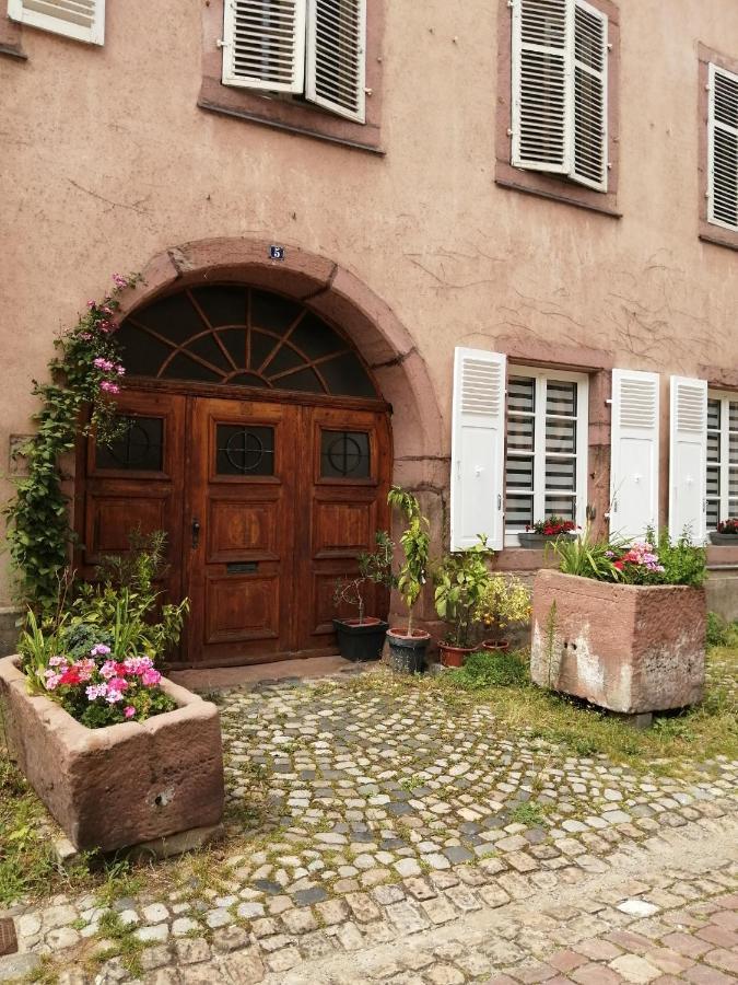 Gite Le Patio Kaysersberg-Vignoble Exterior photo